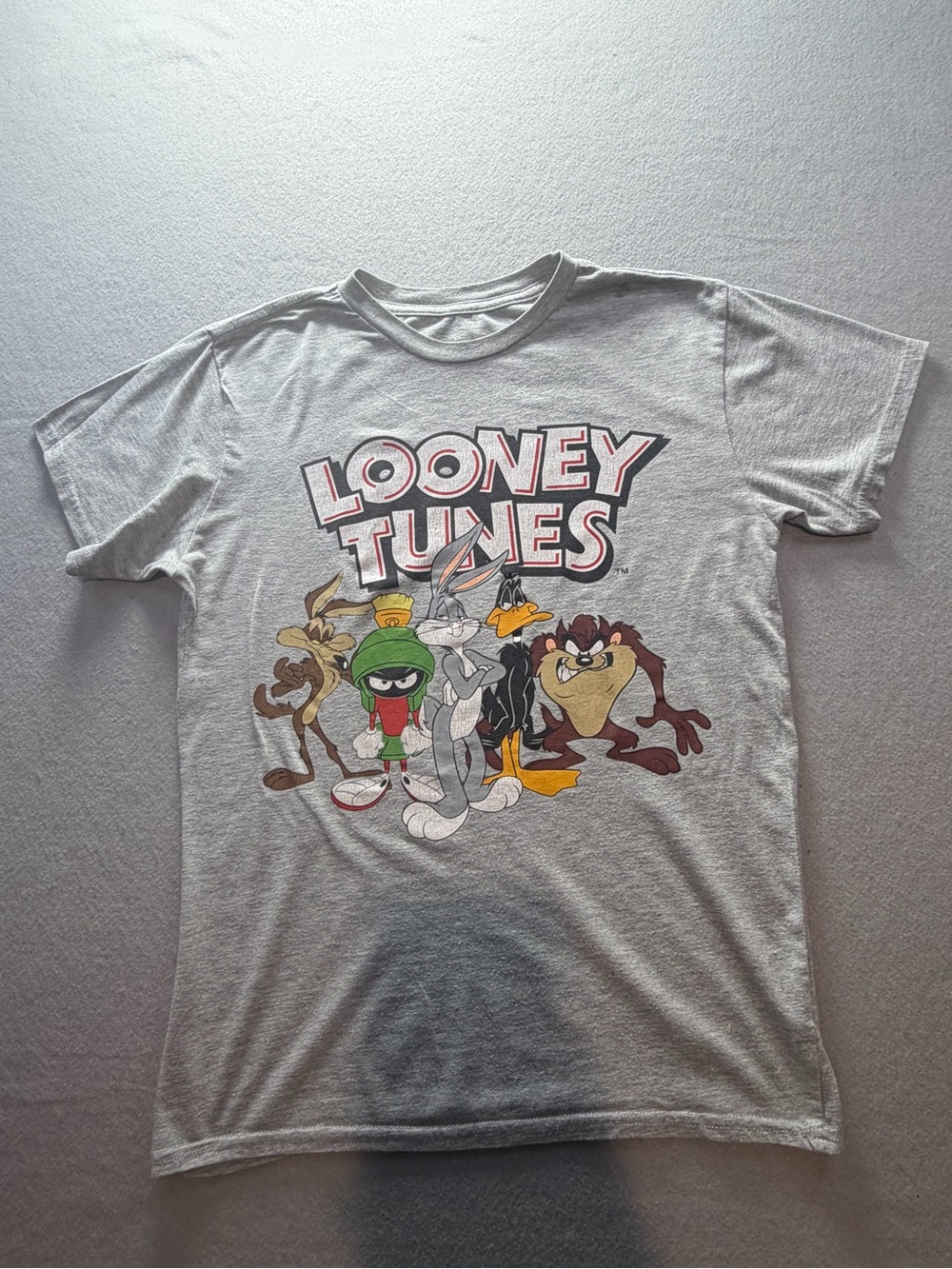 Looney Tunes Character Group Gray Graphic Tee